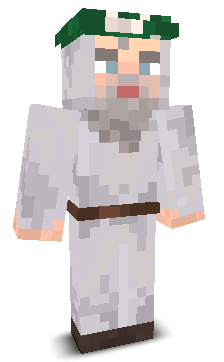 Rgsttttt's skin