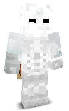 4ws's skin