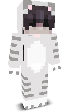idk123424345's skin