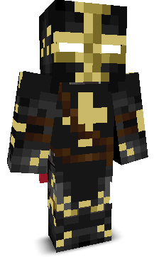 Jet311's skin