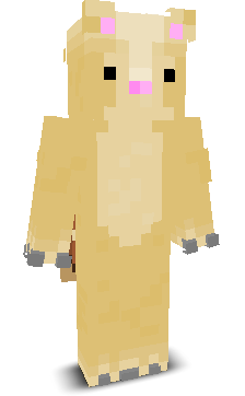NotWzl's skin
