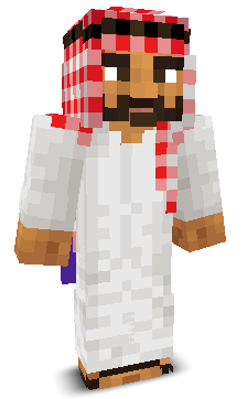 Zkr75's skin