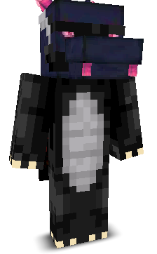 1kAceify's skin
