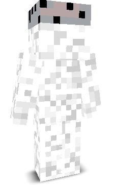 salt65's skin