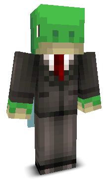 stqddd's skin