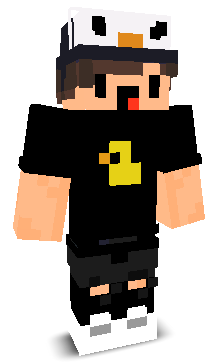 St33r17's skin