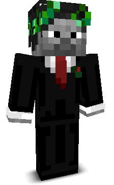 wedsfgjhy's skin