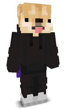 B1LCO's skin