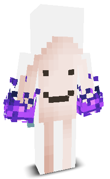 ShinShot's skin