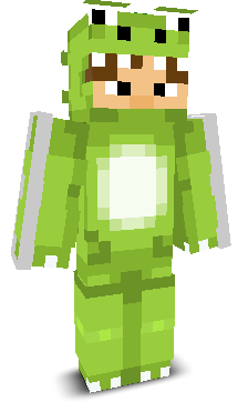 NinjaBrawlBox's skin