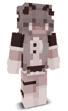 Mr_Warzone's skin