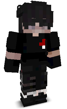 AirPro's skin