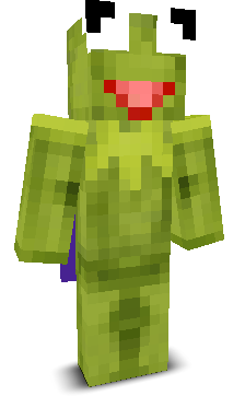 RandomDust2020's skin