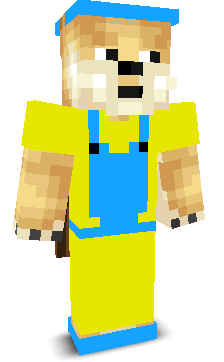 Lungson's skin