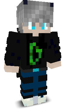 wintercast212's skin