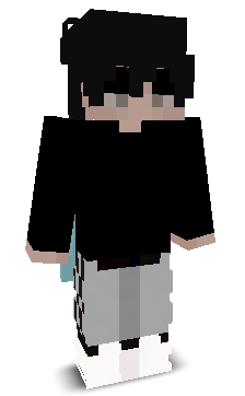 4884Player's skin