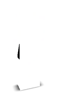 oexoticc's skin