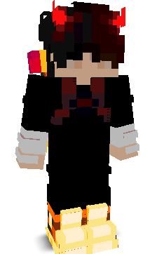 PlayerBlockys's skin