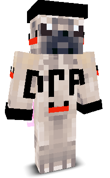 ttvdrpdogg's skin