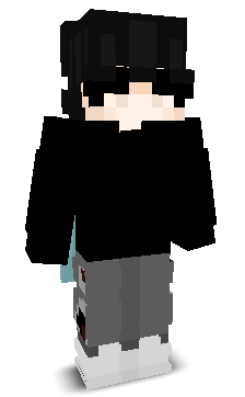 DominoL2013's skin
