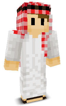 Shlogieee's skin