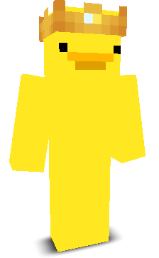 hclu's skin
