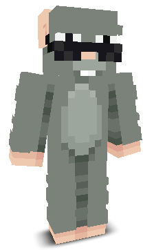 Blaze_Storm7X's skin