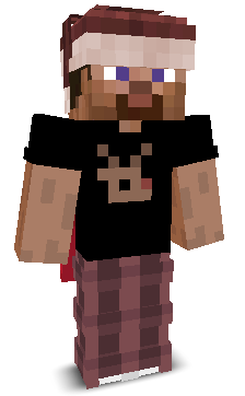 4961's skin