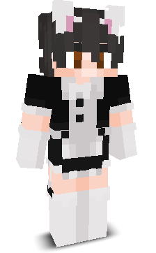 z1oin's skin