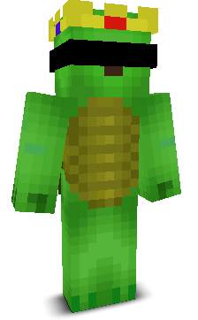 turtle_main03's skin