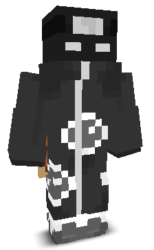 Name_Z33's skin