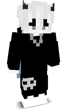 niewiem12345's skin