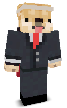 Destructor78's skin