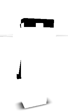Tryjoker's skin