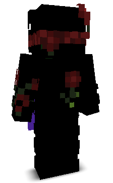 winnernoa's skin