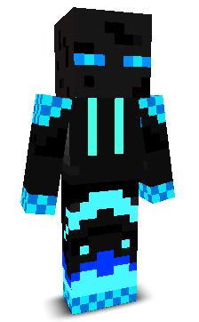 wintersnipe's skin