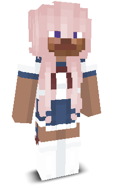 NormalSpedPlayer's skin