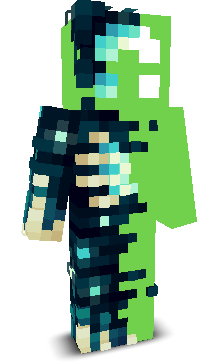 NONAME0098's skin