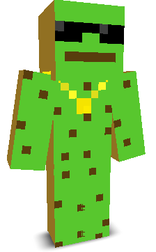 AgentKiwwi's skin