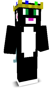 sir_pak's skin