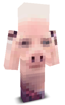 JunPork_'s skin