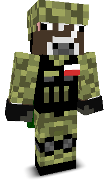 _Rom4n's skin