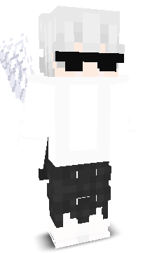 ST_Digital's skin