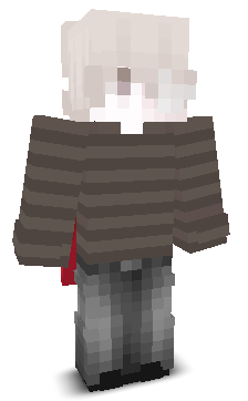 Controlera's skin