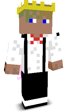 houstonnice's skin
