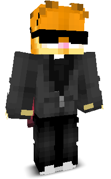 ParkyyMC's skin