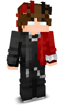 Lite_ninja's skin