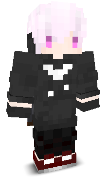 Inclip_official's skin