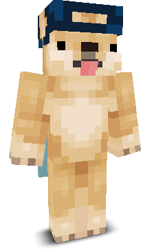 AdamKamion123's skin