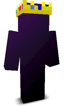 lil_pickaxer's skin